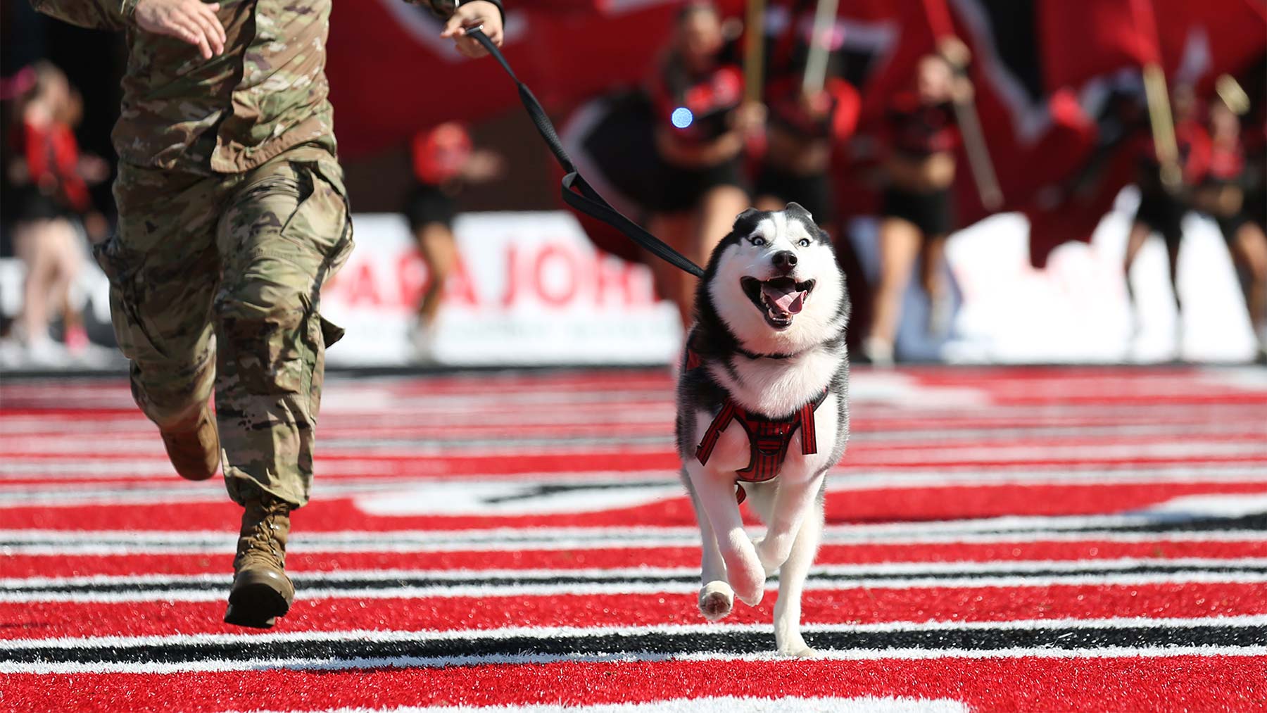 Track athlete cheering