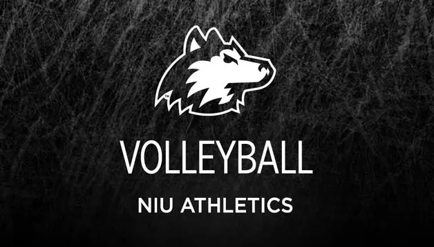 Volleyball graphic